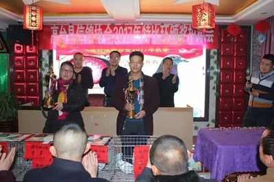 高台县信鸽协会举行2017年度比赛颁奖晚会